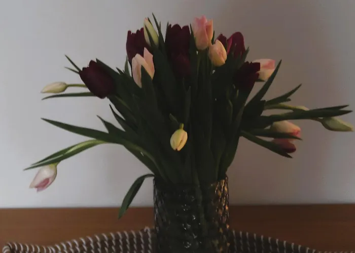 Plac Zbawiciela By Global Apartament *