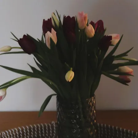 Plac Zbawiciela By Global דירה *